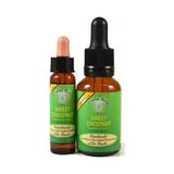 Bach Çiçekleri Sweet Chestnut Kestane - 10 ml