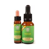 Bach Çiçekleri Vervain Mine Çiçeği - 10 ml