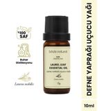 Bade Natural 10 ml %100 Saf Defne Yaprağı Uçucu Yağı Nemlendirici Etkili Vücut Bakım Yağı