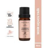 Bade Natural %100 Saf Sedir Ağacı Uçucu Yağı 10 ml Sıkılaştırıcı Etki ile Akne Karşıtı Kullanım