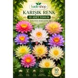 Bade Shop 10 Adet Karışık Renk Katmerli Lotus (Nilüfer) Tohumu – Egzotik Su Bahçesi Çiçeği