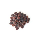 Bade Shop 5 Adet Tamarind Demirhindi Tohumu, Taze Demir Hindi Tohumu badedemirhindi4adet