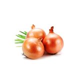 Bade Shop Soğan Tohumu - Valenciana 1500 Adet