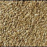 Badem Akvaryum 10 kg Aspur Sade Açık Kanarya Yemi