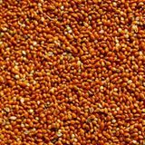 Badem Akvaryum 500 gr Dökme Kızıl Darı Kuş Yemi