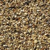 Badem Akvaryum 500 gr Sağlık Tohumu Kuş Yemi