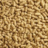 Badem Akvaryum Japon Balığı Yemi Sade 100 G