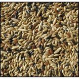 Badem Akvaryum Karışık Kanarya Yemi 1 kg Açık
