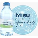 Badem Pınarı 0,33 Lt Pet Su (12'li) - Metal Filtre
