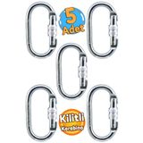 Badem10 5 Adet Oval Kilitli Karabina 10 Mm Yaylı Kanca Çelik Kilit Tırmanma Olta Kamp Ekipmanları Hamak Askı