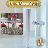 Badem10 Elit Masa Dresuar Ayağı 75 cm Plastik Gümüş Ayak Mutfak Yemek Masası Mobilya Ayakları