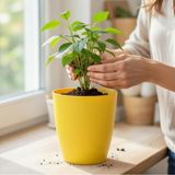 Badem10 Sarı Kırılmaz Plastik Dekoratif Saksı (1 Adet) 15CM Orkide Çiçek Bitki Için Kırılmaz Balkon Saksısı - 15 cm