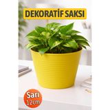 Badem10 Sarı Renk Kırılmaz Esnek Plastik Balkon Saksısı 12 CM Orkide Bitki Genel Kullanım Saksı