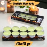 Badem10 Tealight Mum 10X10 gr Dekoratif Mumu Kandil Hediyelik Fitilli Mumluk Şamdan Krem Renk Kokusuz - Su Yeşili - 1 Adet