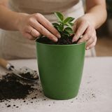 Badem10 Yeşil Kırılmaz Plastik Dekoratif Saksı (1 Adet) 15CM Orkide Çiçek Bitki Için Kırılmaz Balkon Saksısı - 15 cm