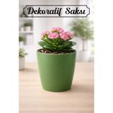 Badem10 Yeşil Kırılmaz Plastik Dekoratif Saksı (1 Adet) 15CM Orkide Çiçek Bitki İçin Kırılmaz Balkon Saksısı