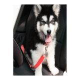 Baffhome Araba Köpek Tasması Emniyet Kemeri Oto Evcil Hayvan Boyun Araç Tasması Kemeri