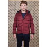 Baggi Regular Fit Erkek Mont Bordo - S