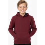 Baglan Erkek Çocuk Bordo Kapüşonlu Cepli 3 Iplik Sweatshirt BGL-ST05002 - 10 Yaş