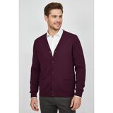 Baglan Erkek Spor Selanik Düğmeli Hırka Regular Kalıp BGL-ST04873 - Mürdüm - 2XL