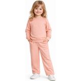Baglan Kız Çocuk Taşlı Sweatshirt Pantolon Takım BGL-ST05273 - Somon - 5 Yaş