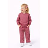 Baglan Kız Çocuk Taşlı Sweatshirt Pantolon Takım BGL-ST05273