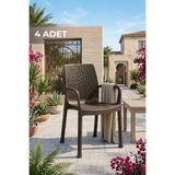 BAHAR BAHÇE PLASTİK EFES Rattan 4 Adet Plastik Bahçe ve Balkon Sandalyesi Venge