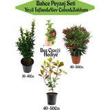 Bahçe Peyzaj Seti 1 Adet Yeşil Taflan+1 Adet Alev Çalısı+1 Adet Kırmızı Zakkum+Hediye Buz Çiçeği