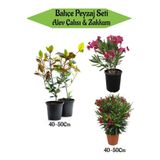 Bahçe Peyzaj Seti 2 Adet Alev Çalsı+ 2 Adet Pembe Ve Kırmzı Zakkum Çiçeği, SRD04022025BYB1408