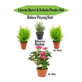 Bahçe Peyzaj Seti 2 Adet Limoni Servi Fidanı+1 Adet Pembe Gül+ Hediye Biberiye, BTSNN23032448