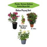 Bahçe Seti 1 Adet Kırmızı 1 Adet Pembe Zakkum+ 1 Adet Beyaz Gül + Hediye Buz Çiçeği