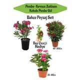 Bahçe Seti 1 Adet Kırmızı 1 Adet Pembe Zakkum+ 1 Adet Pembe Gül + Hediye Buz Çiçeği