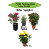 Bahçe Seti 1 Adet Pembe 1 Adet Kırmızı Zakkum+ 1 Adet Sarı Gül+ Hediye Biberiye, SRD04022025BYB1399