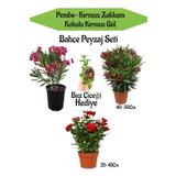 Bahçe Seti 2 Adet Limoni Servi Fidanı+ 1 Adet Kırmızı Gül Fidanı+Hediye Buz Çiçeği, BTSNN23032439