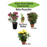 Bahçe Seti 2 Adet Limoni Servi Fidanı+ 1 Adet Sarı Gül Fidanı+Hediye Buz Çiçeği, BTSNN23032440