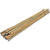 Bahçem 90 cm Bambu Bitki Destek Çubuğu 10'lu UV Koruma Özellikli Doğal Bambu