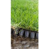Bahçem Elit Zoysia Japonica Çim Fidesi 21 M2 Için 336 Adet Fide (4 viol) 84'lük Viol