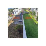Bahçem Elit Zoysia Japonica Çim Fidesi 252 Adet Fide (3 viol) 84'lük Viollerde