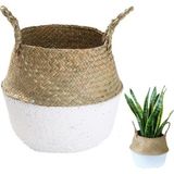 Bahçem Katlanabilir Hasır Sepet Saksılık Natural-Beyaz - 24X28CM