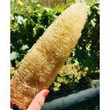 Bahçemden Köy Ürünleri Kabak Lifi Hamam Kesesi 20-30 cm - Altın