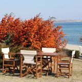 Bahçeme Yönetmen Katlanır Ahşap Bahçe Balkon Seti: 80X160 Masa + 4 Sandalye