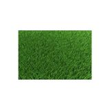 BAHÇESTORE Green King 4m 4lü Karışım Çim Tohumu 100 gr