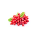 Bahçevilya 1 Adet Gojiberry Fidanı[Kurt Üzümü]