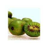 Bahçevilya 20-40 Cm Boyunda 1-2 Yaş Arası Mini Kivi (Actinidia Arguta) Fidanı - Kolay Yetişen Tatlı Ve Lezzetli
