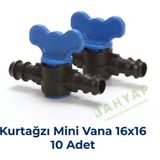 Bahyap Kurtağzı Mini Vana 16X16 (10 Adet)