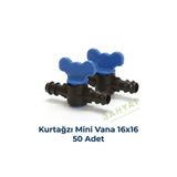 Bahyap Kurtağzı Mini Vana 16x16 (50 Adet)