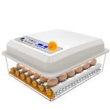 BAILR Enerji tasarruflu yumurta inkübatörü 56 yumurta, otomatik yumurta döndürme, tavuk yumurtası şapkası, neme dayanıklı yumurta ekmek dolabı - tavuk ördekler kaz tavuk için güvercin bıldırcın (A 56 Eggs)