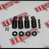 Bajaj Dominar 400Ug-D250-D400 E5 Sübap Yay Seti A36jf0198