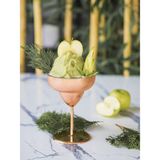 Bakır Concept Bakır Margarita Kadehi Bakır Renk - 1 Adet - Şeffaf - 500 ml