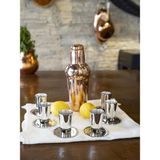 Bakır Concept Bakır Shot Bardağı Meksika Gümüş Renk 6'lı Set (12 Parça)